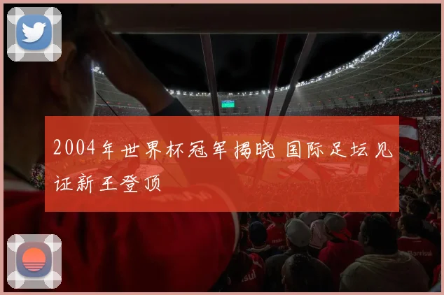 2004年世界杯冠军揭晓 国际足坛见证新王登顶