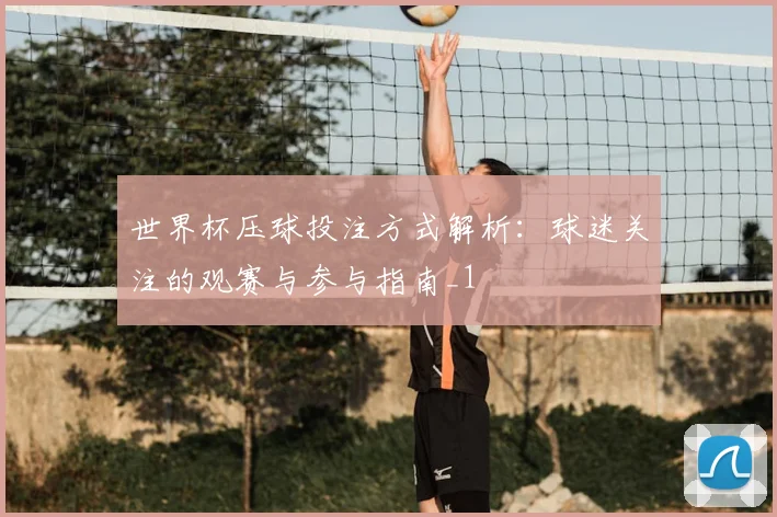 世界杯压球投注方式解析：球迷关注的观赛与参与指南_1