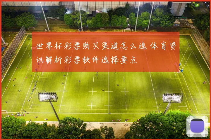 世界杯彩票购买渠道怎么选 体育资讯解析彩票软件选择要点