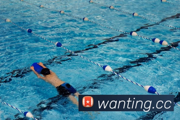 南非世界杯开幕式主题曲曝光 赛事开场氛围升级成关注焦点